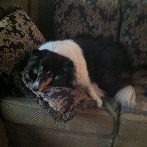 Meet your Posher, Virginia